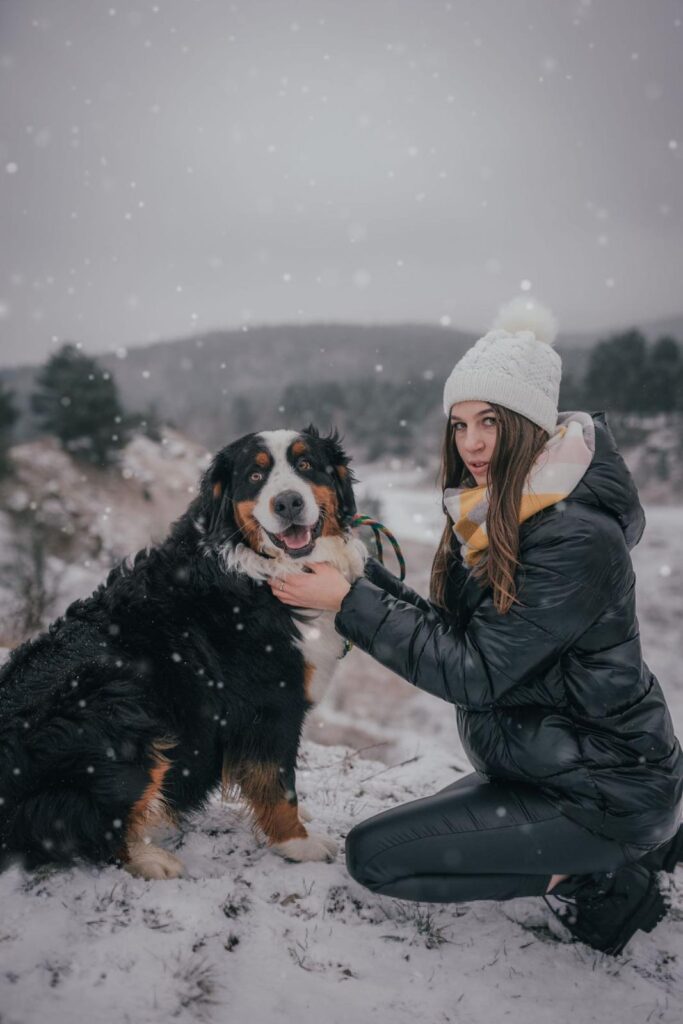Hotel dla psów pod Kielcami