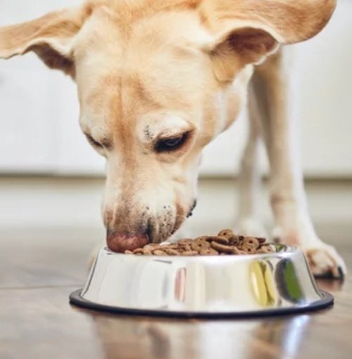 Zrzut ekranu 2025-05-10 152306